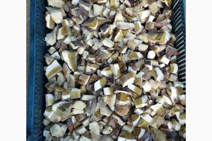 Кубик білого гриба- фото № 2