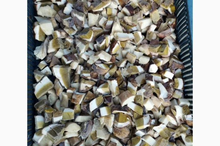 Кубик білого гриба- фото № 3