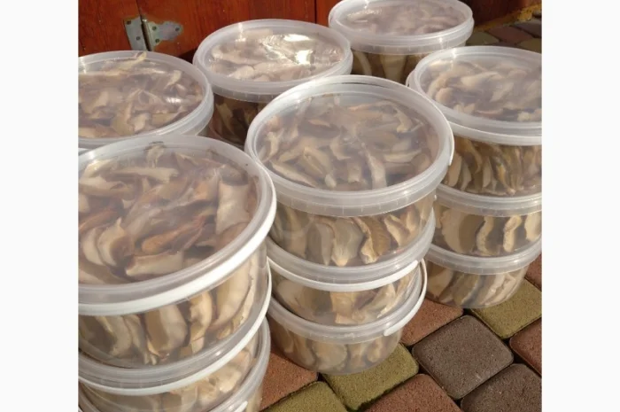 Білий гриб відерця 3 літри- фото № 1