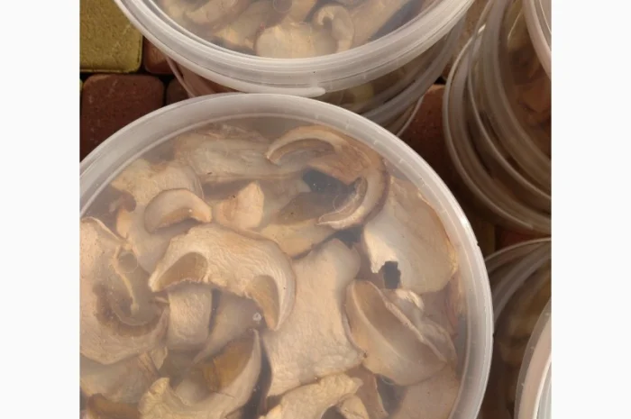 Білий гриб відерця 3 літри- фото № 2