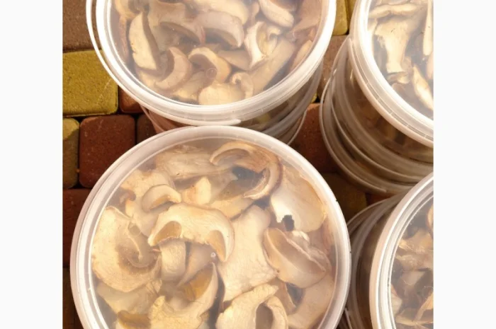 Білий гриб відерця 3 літри- фото № 3