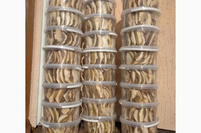 Білий гриб відерця 3 літри- фото № 4