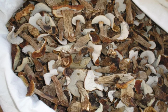 Продам сухие белые грибы- фото № 1