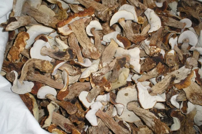 Продам сухие белые грибы- фото № 2
