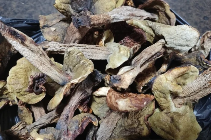 Продам сухие белые грибы- фото № 3