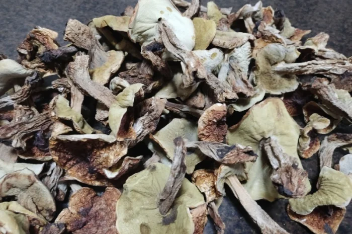 Продам сухие белые грибы- фото № 4