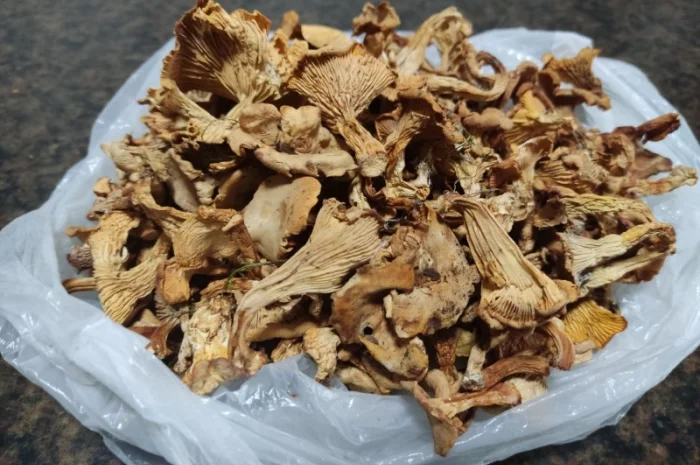 Продам сухие белые грибы- фото № 5