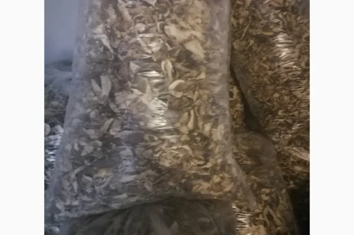 Продам білі гриби сушені- фото № 2