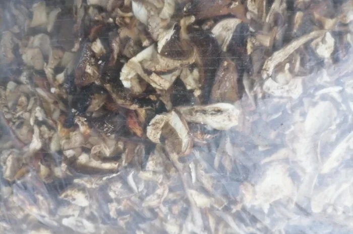 Продам білі гриби сушені- фото № 4