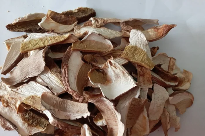 Сушені білі гриби- фото № 1