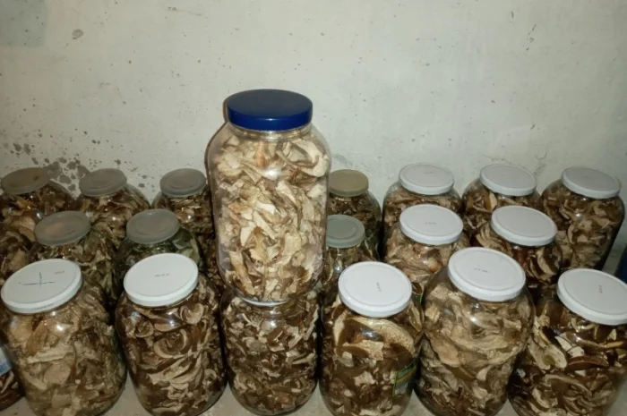 Сушені білі гриби- фото № 2