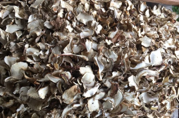 Сушеный белый гриб- фото № 1