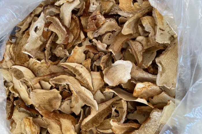 Сушеный белый гриб- фото № 2