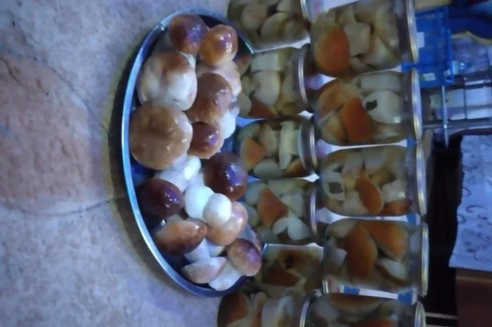 Продам Карпатські білі гриби: мариновані, сушені- фото № 1