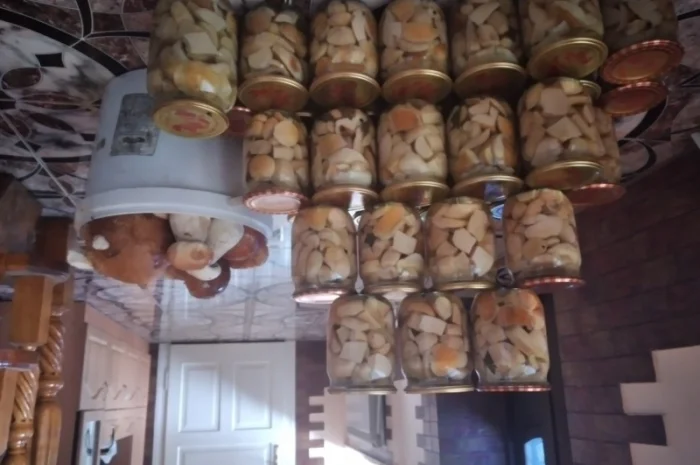 Продам Карпатські білі гриби: мариновані, сушені- фото № 3