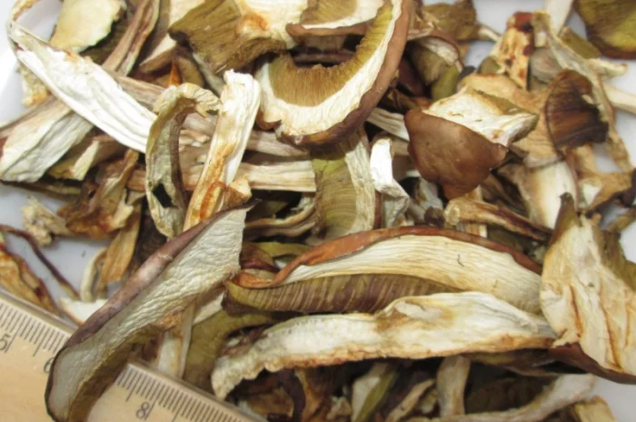 Гриб, белый, сухой- фото № 1