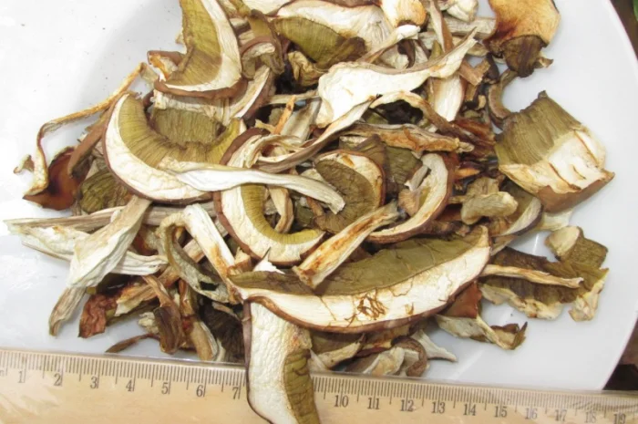 Гриб, белый, сухой- фото № 2