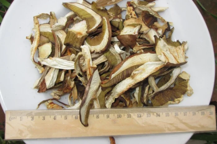 Гриб, белый, сухой- фото № 3