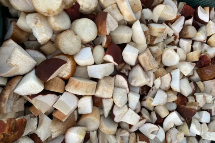 Продаємо білі гриби (заморожені, сушені, мариновані)- фото № 2