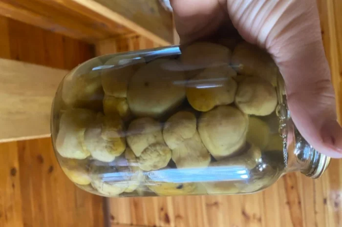 Продаємо білі гриби (заморожені, сушені, мариновані)- фото № 6