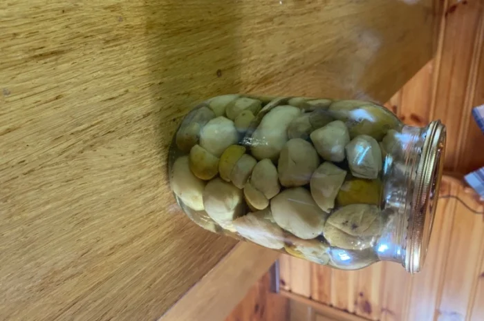 Продаємо білі гриби (заморожені, сушені, мариновані)- фото № 7