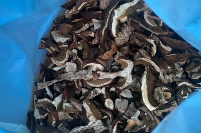 Продам сушені білі гриби- фото № 1