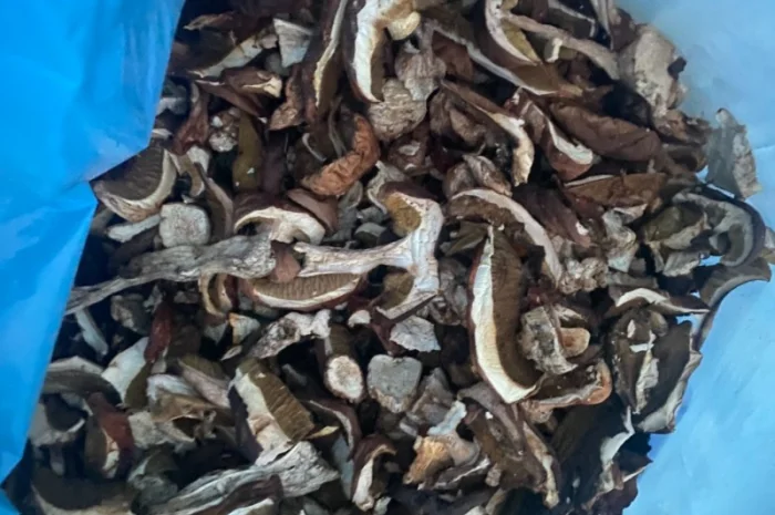 Продам сушені білі гриби- фото № 2