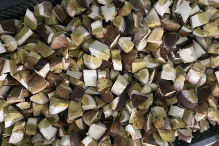 Продам заморожені білі гриби- фото № 2