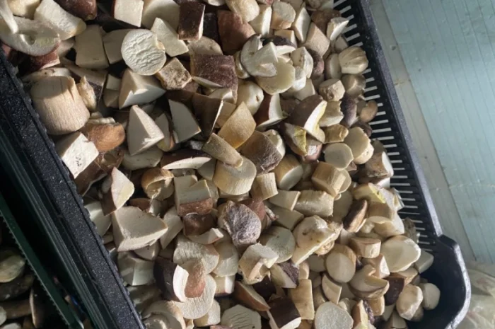 Продам заморожені білі гриби- фото № 5