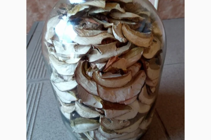 Гриби білі, сухі- фото № 1