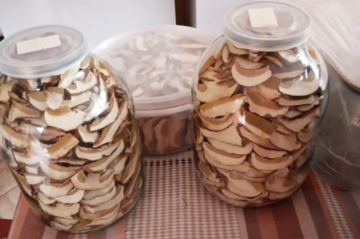 Продажа белых грибов- фото № 9