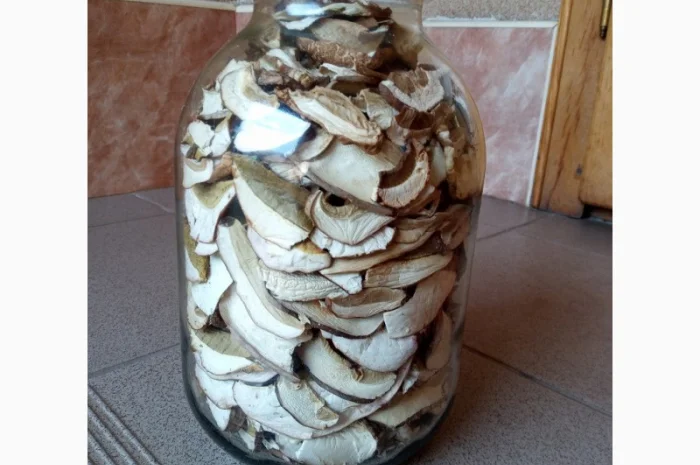 Гриби білі, сухі- фото № 3