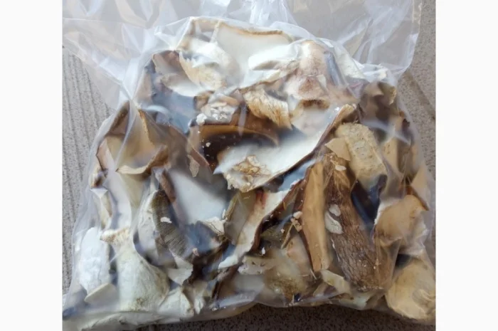 Гриби білі, сухі- фото № 4