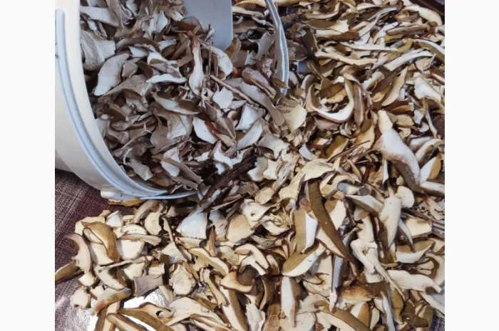 Продажа белых грибов- фото № 4