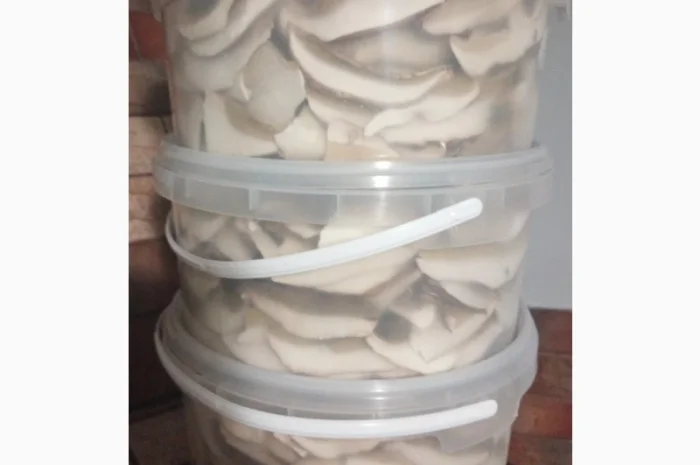 Продажа белых грибов- фото № 5