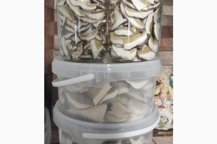 Продажа белых грибов- фото № 6