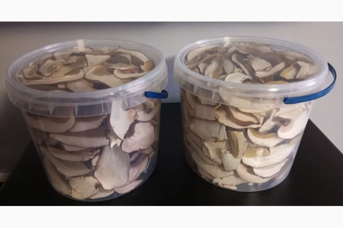 Продажа белых грибов- фото № 8