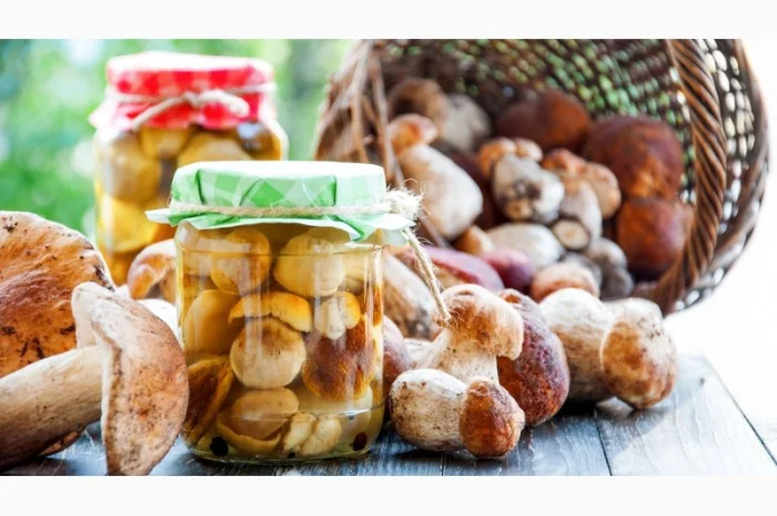 Білі гриби- фото № 2