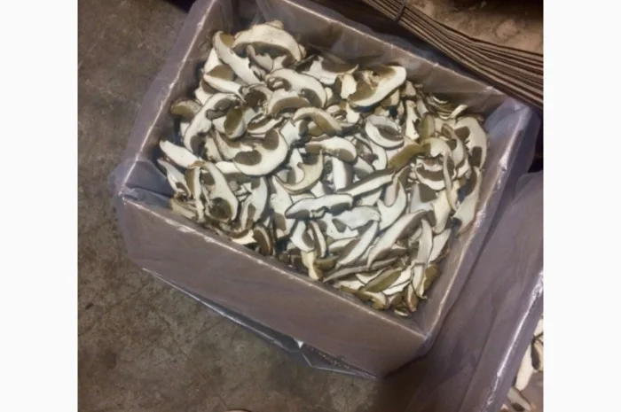 Сухі Білі Гриби- фото № 1