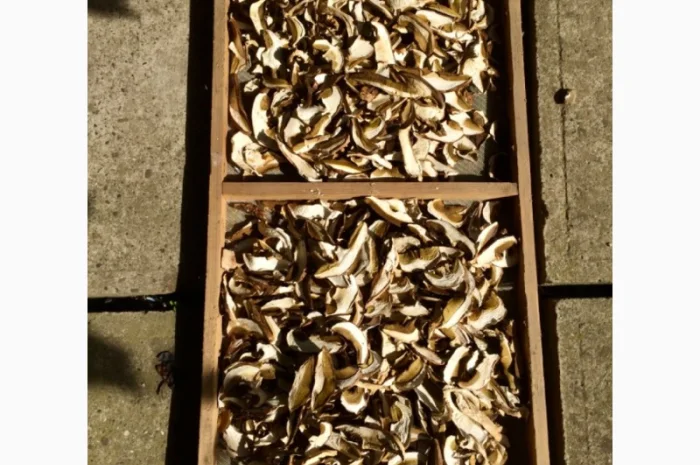 Сухі Білі Гриби- фото № 2