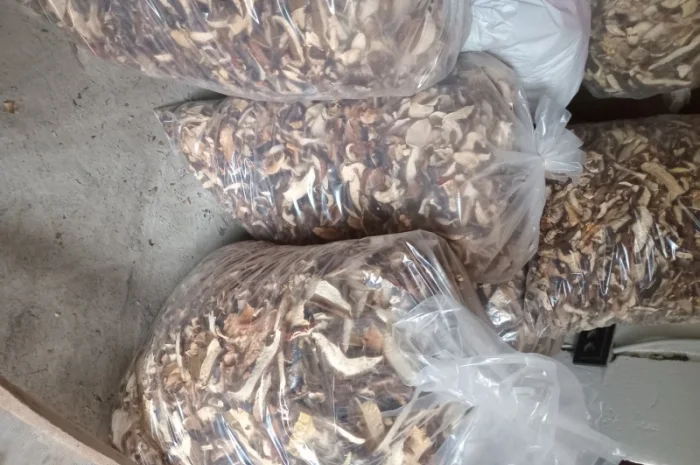 Є в наявності сушені білі гриби урожаю 2024- фото № 1