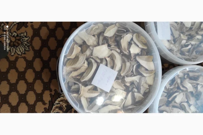 Гриби білі сушені з Карпат- фото № 2