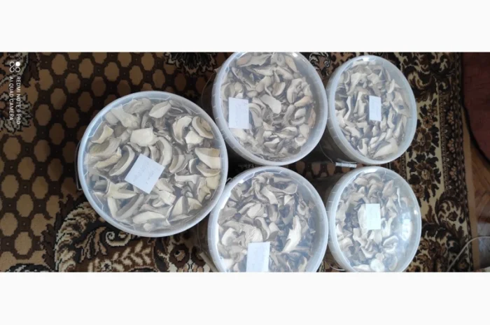 Гриби білі сушені з Карпат- фото № 3