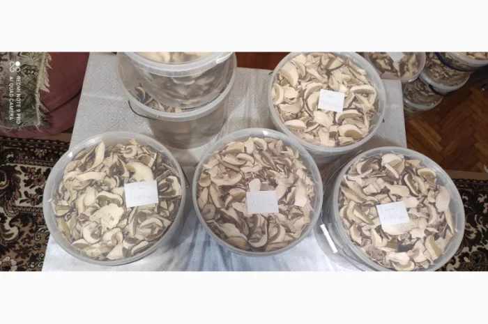 Гриби білі сушені з Карпат- фото № 4