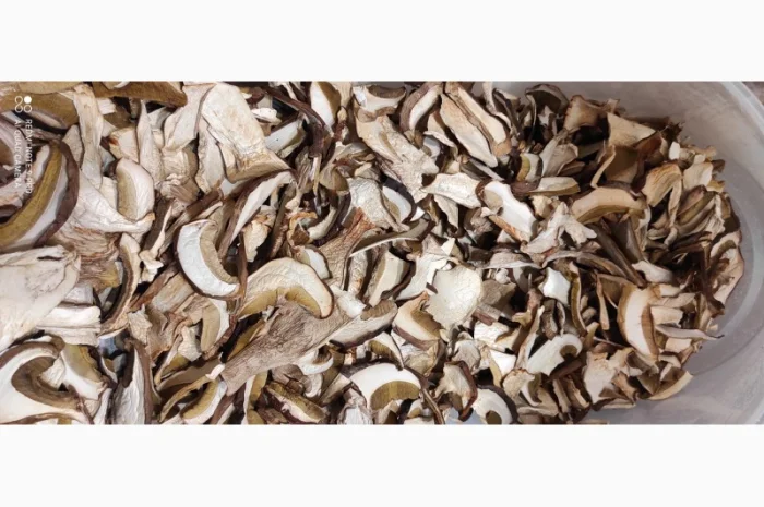 Гриби білі сушені з Карпат- фото № 5