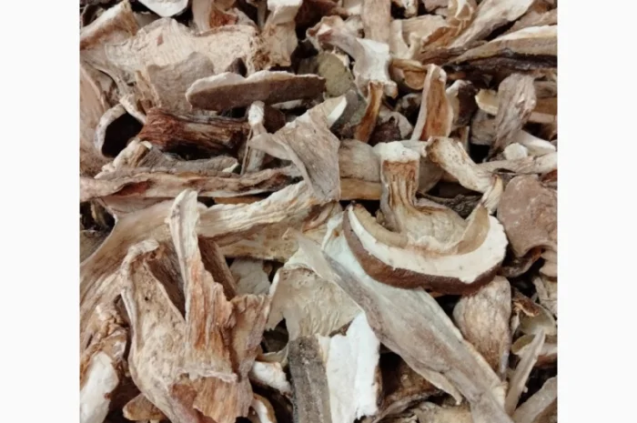 Продам сушені білі гриби (белые сушеные грибы)- фото № 1