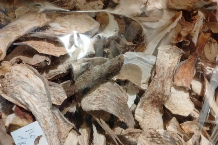 Продам сушені білі гриби (белые сушеные грибы)- фото № 2