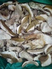 Сухие грибы- фото № 7