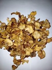 Сухие грибы- фото № 8