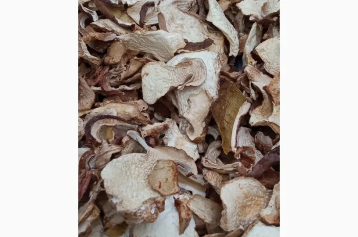 Продам білі гриби, Вирощені в Карпатах, червень 2024- фото № 1